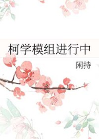 [柯南同人] 柯学模组进行中