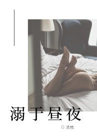 溺于昼夜（高H NP）